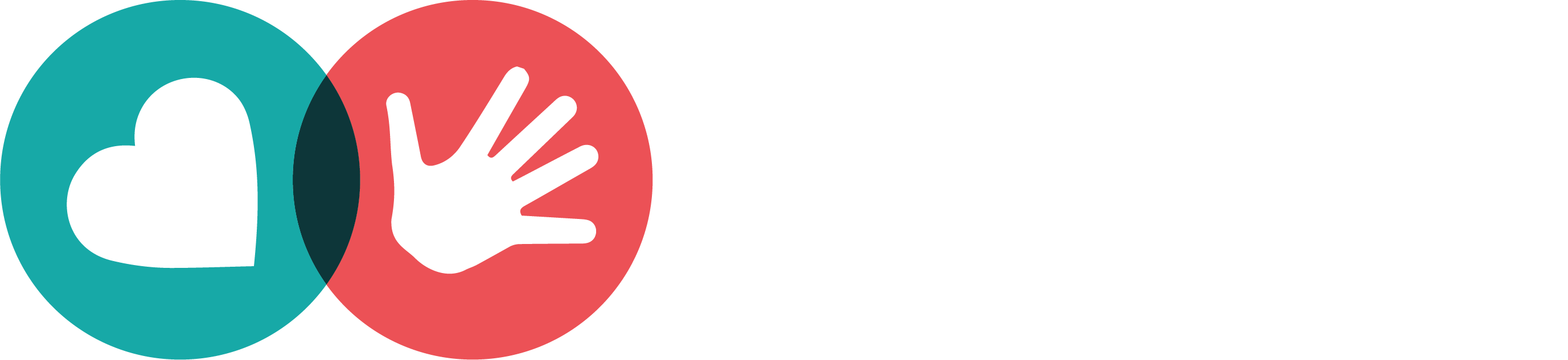 stn expo logo